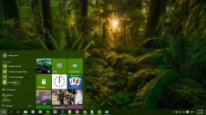 Jungle windows theme