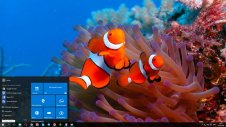 Ocean Life windows theme