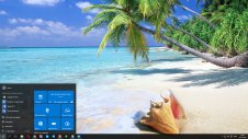 Tropical Paradise windows theme