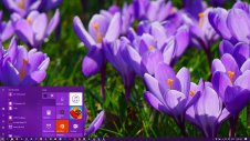 Flowers (Dual Monitor) windows theme