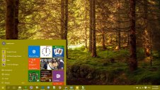 Forest windows theme