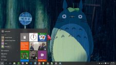 Totoro windows theme