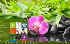 Zen win10 theme