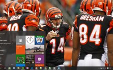 Cincinnati Bengals win10 theme