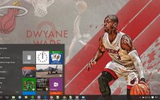 Dwyane Wade win10 theme