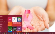 Breast Cancer win10 theme