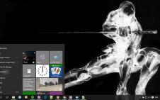 Ninja win10 theme