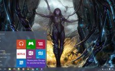 Starcraft win10 theme