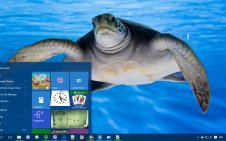 Turtle win10 theme