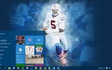 Buffalo Bills win10 theme