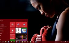 Boxing win10 theme