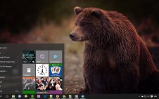Bear win10 theme