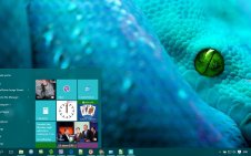 Snake win10 theme