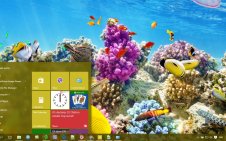 Coral win10 theme