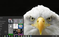 Eagle win10 theme