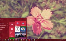 Vintage Flower win10 theme