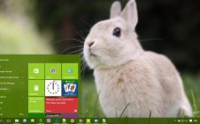 Bunny win10 theme