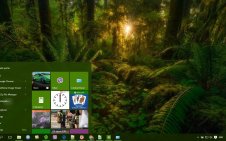 Jungle win10 theme