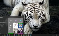 White Tiger win10 theme