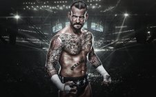 UFC win10 theme