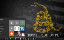 Don't Tread on Me win10 theme