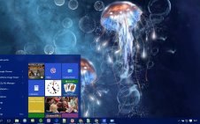 Jellyfish win10 theme