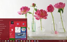 Peony win10 theme