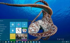 Octopus win10 theme