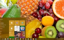 Fruit win10 theme