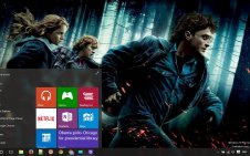 Harry Potter win10 theme