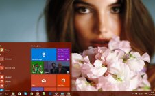 Lily Aldridge win10 theme