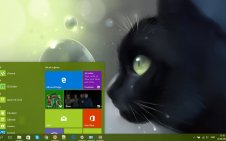 Apofiss win10 theme