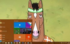 BoJack Horseman win10 theme