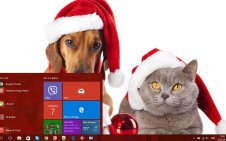 Christmas Cute Animals win10 theme