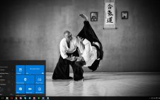 Aikido win10 theme