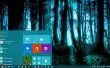 Dark Forest win10 theme