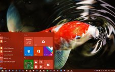 Koi win10 theme