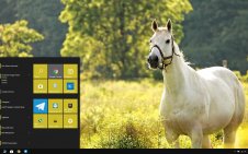 Horses win10 theme