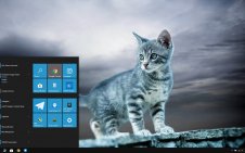 Kittens win10 theme