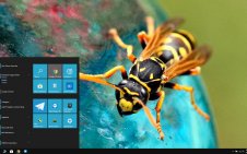 Wasp win10 theme