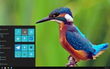 Kingfisher win10 theme