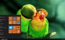 Parrot win10 theme