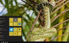 Python win10 theme