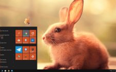 Rabbit win10 theme
