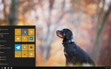 Rottweiler win10 theme