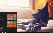 Great Dane win10 theme