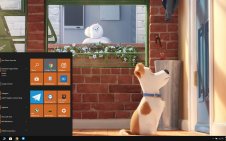 The Secret Life of Pets win10 theme