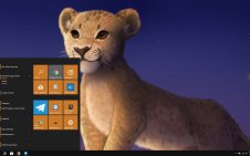 The Lion King (2019) win10 theme