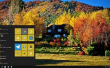 Autumn Forest win10 theme