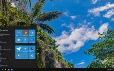 Tropical Rainforest win10 theme